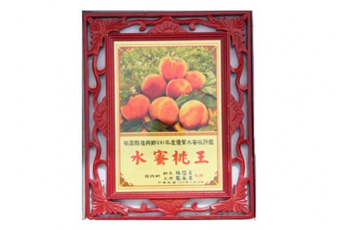 拉拉山果園．洪家水蜜桃果園